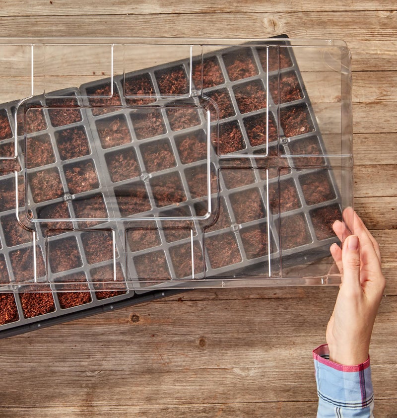 Burpee Self-Watering Seed Starter Tray, 72 Cells - Image 5